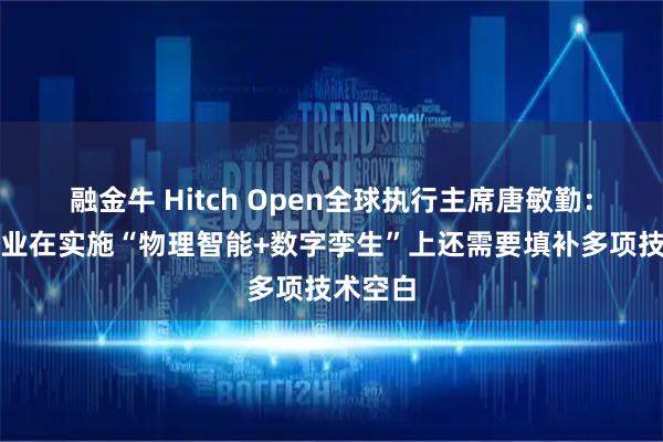 融金牛 Hitch Open全球执行主席唐敏勤:中国企业在实施“物理智能+数字孪生”上还需要填补多项技术空白