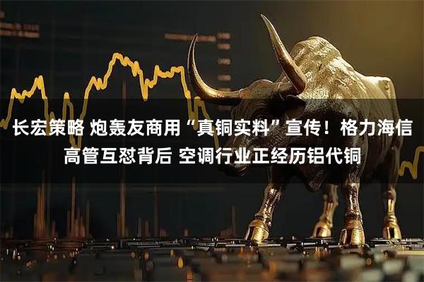 长宏策略 炮轰友商用“真铜实料”宣传！格力海信高管互怼背后 空调行业正经历铝代铜