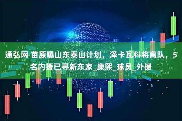通弘网 苗原曝山东泰山计划，泽卡瓦科将离队，5名内援已寻新东家_康熙_球员_外援