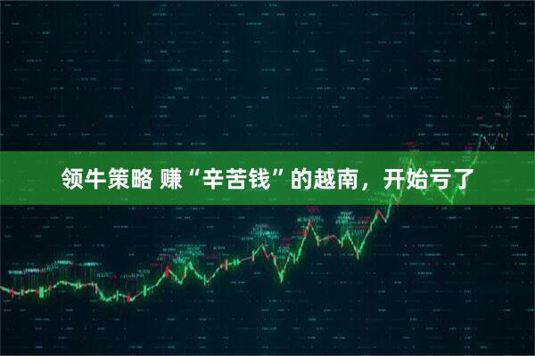领牛策略 赚“辛苦钱”的越南，开始亏了
