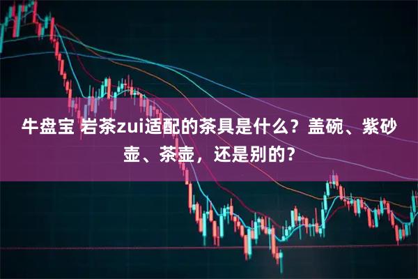 牛盘宝 岩茶zui适配的茶具是什么？盖碗、紫砂壶、茶壶，还是别的？