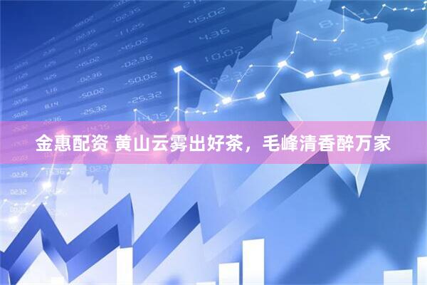 金惠配资 黄山云雾出好茶，毛峰清香醉万家