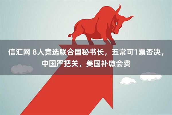 信汇网 8人竞选联合国秘书长，五常可1票否决，中国严把关，美国补缴会费